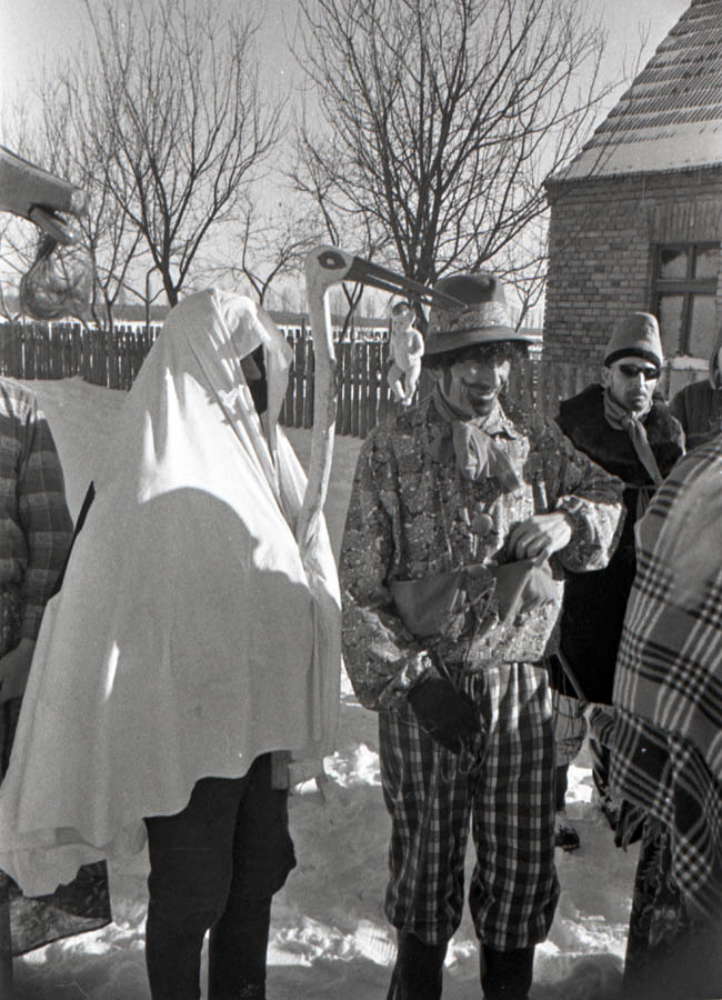 Fotografia czarno-biała. Zbliżenie na dwójkę przebranych osób. Po lewej widoczna postać bociana, obok postać ubrana w kapelusz, kwiecistą kurtkę i spodnie w kratę. W tle widoczne inne osoby przebrane, drewniany płot, dom z cegły i śnieg.